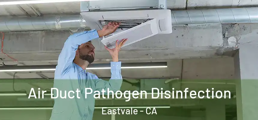  Air Duct Pathogen Disinfection Eastvale - CA