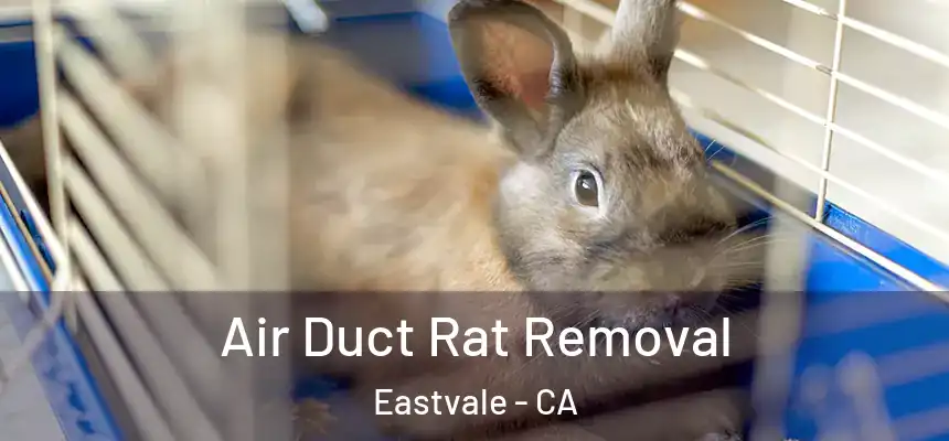  Air Duct Rat Removal Eastvale - CA