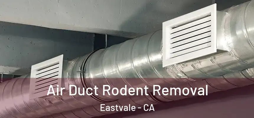  Air Duct Rodent Removal Eastvale - CA