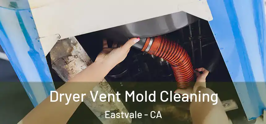  Dryer Vent Mold Cleaning Eastvale - CA