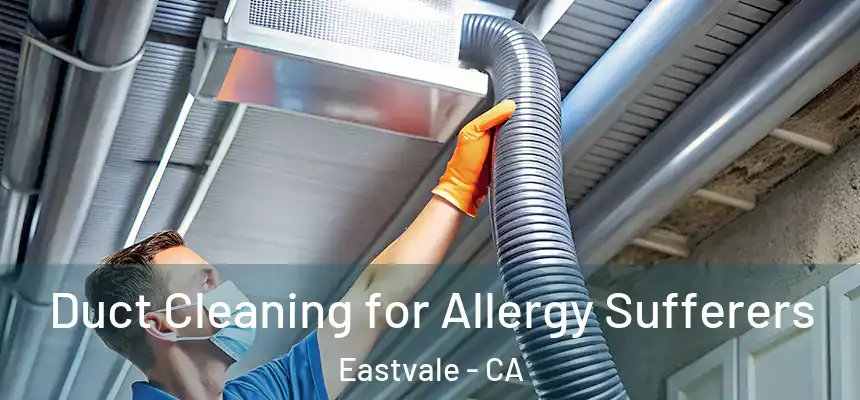  Duct Cleaning for Allergy Sufferers Eastvale - CA