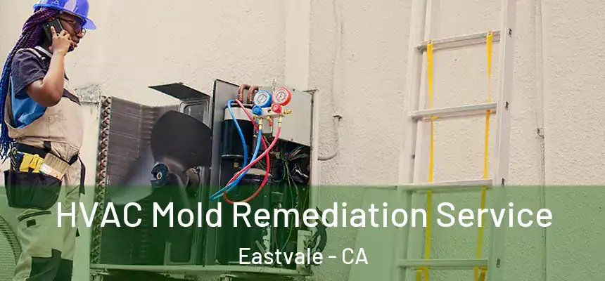  HVAC Mold Remediation Service Eastvale - CA