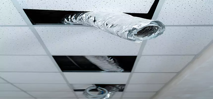 Affordable HVAC Sanitizing After Pest Removal in Eastvale