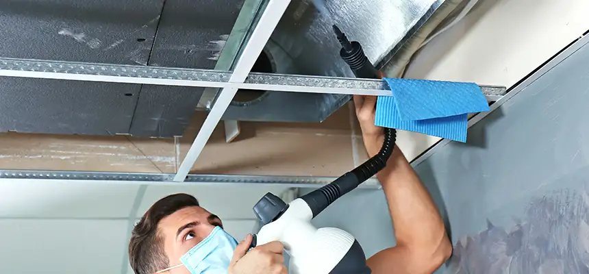 Our Air Duct Rodent Removal Services in Eastvale, CA