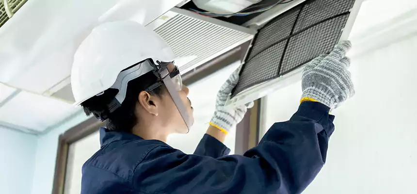 Our Mold & Mildew Removal from Air Ducts Services in Eastvale, CA