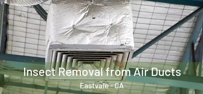  Insect Removal from Air Ducts Eastvale - CA