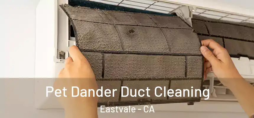 Pet Dander Duct Cleaning Eastvale - CA