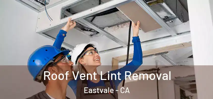  Roof Vent Lint Removal Eastvale - CA