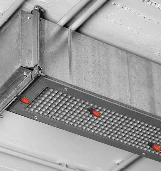 About Air Duct Cockroach Removal in Eastvale, CA