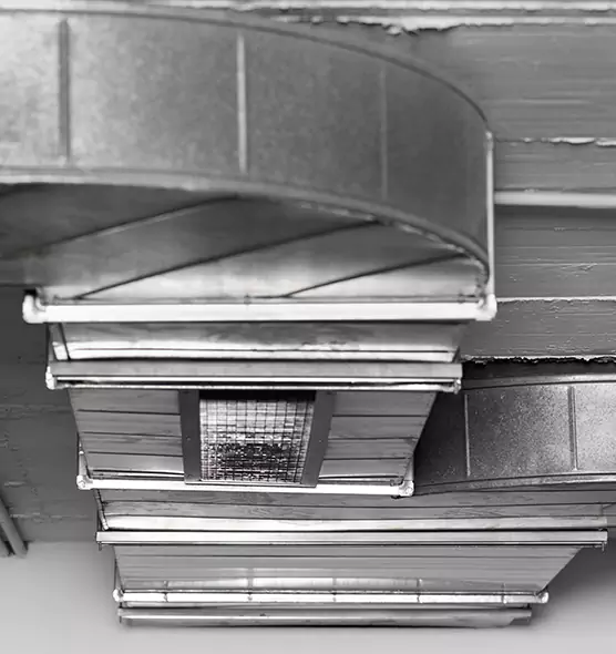 Professional Air Duct Pest Removal in Eastvale, CA