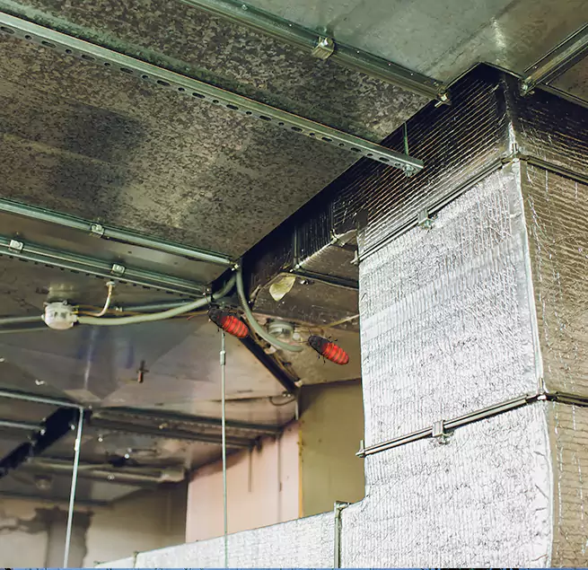 Why Homeowners & Businesses Trust Us in Eastvale, CA?