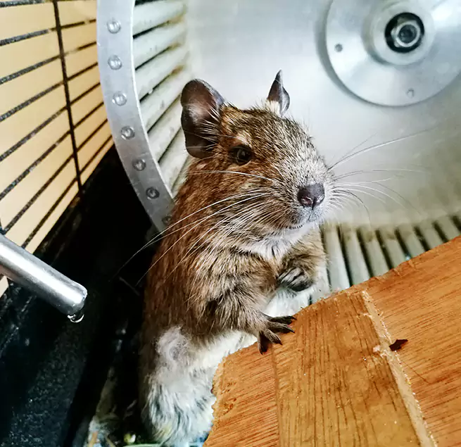 Why Homeowners & Businesses Trust Us Eastvale, CA?