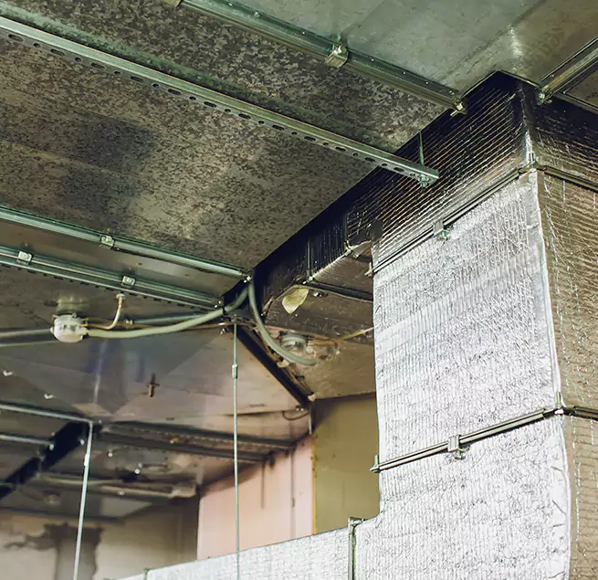 Why Homeowners & Businesses Trust Us in Eastvale, CA?